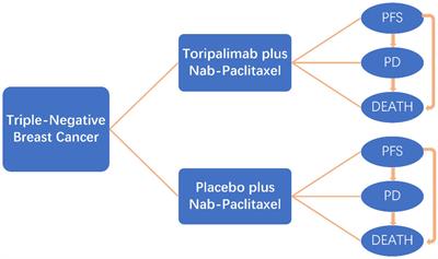 Cost-effectiveness analysis of toripalimab for metastatic or recurrent triple-negative breast cancer